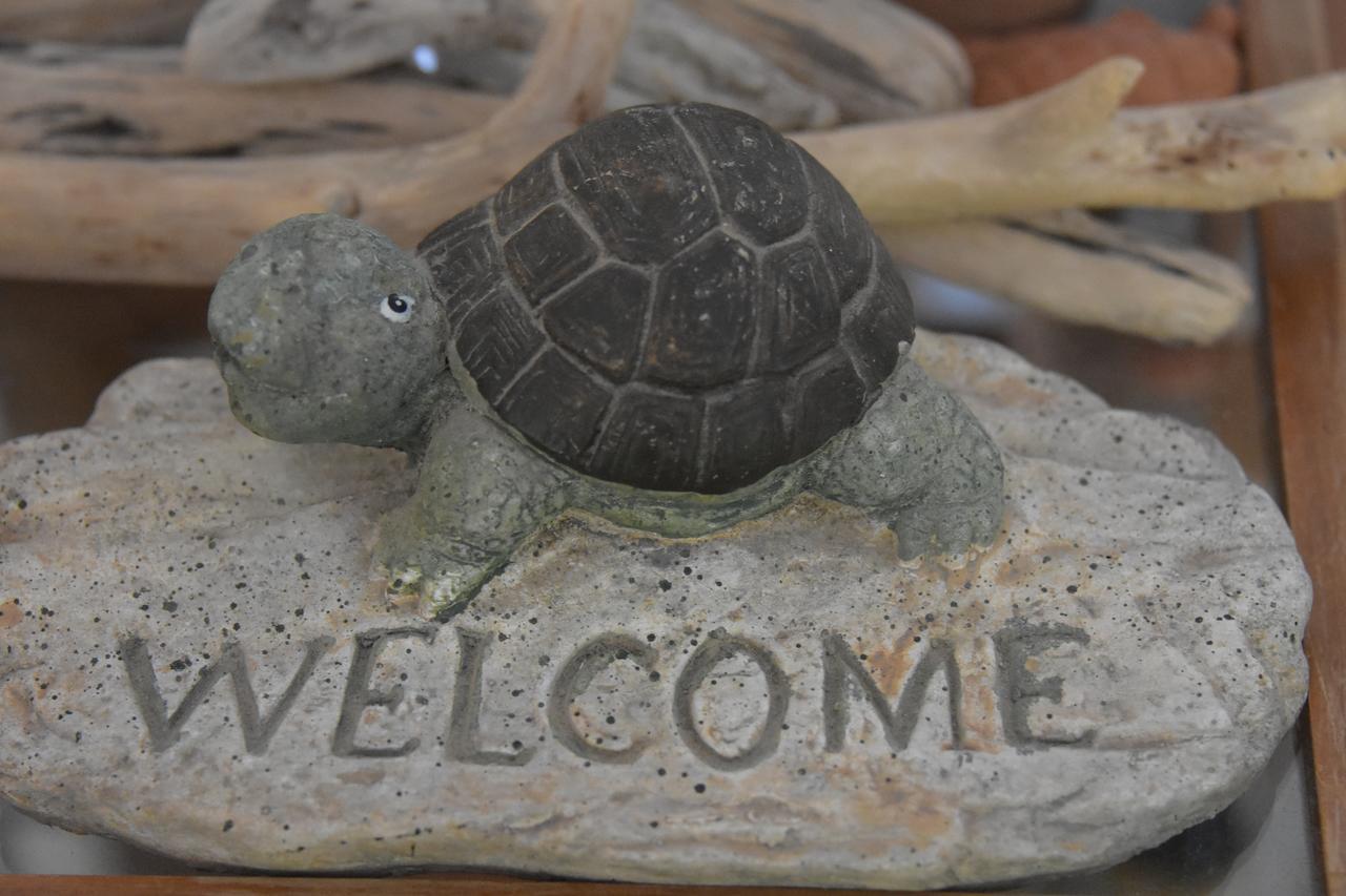 Virginia Hotel Samos Town Bagian luar foto